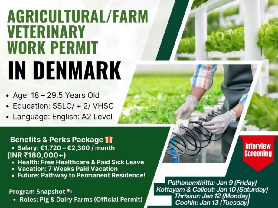 Brandenburg Gate in Berlin showcasing German work visa and EU Blue Card opportunities